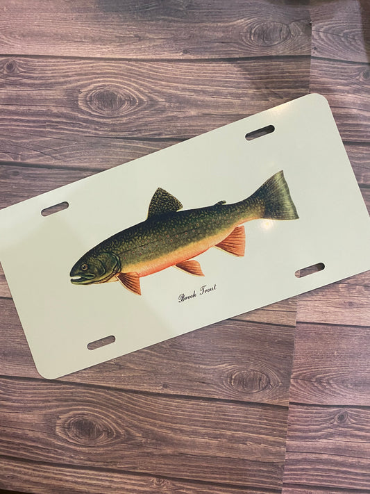 License Plate Trout